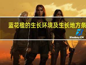 蓝花楹的生长环境及生长地方条件