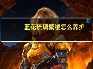 蓝花琉璃繁缕怎么养护