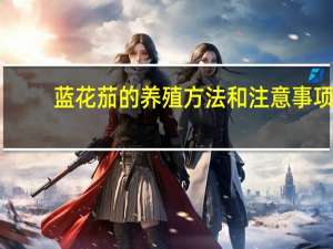 蓝花茄的养殖方法和注意事项