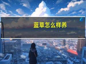 蓝草怎么样养（蓝草）