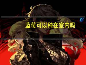 蓝莓可以种在室内吗