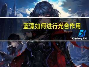 蓝藻如何进行光合作用