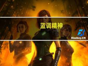蓝调精神（关于蓝调精神的介绍）