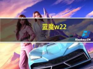 蓝魔w22（蓝魔MP4质量好吗V8型号大概多少钱OPPER和蓝魔选择哪个比）