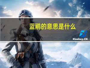 蓝鹇的意思是什么