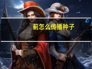 蓟怎么传播种子