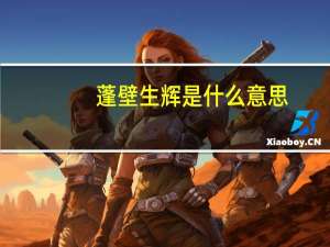 蓬壁生辉是什么意思