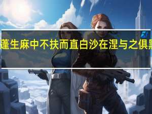 蓬生麻中不扶而直白沙在涅与之俱黑意思
