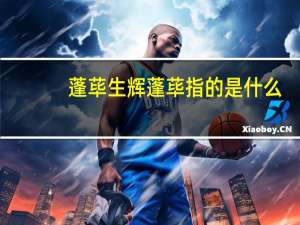 蓬荜生辉蓬荜指的是什么