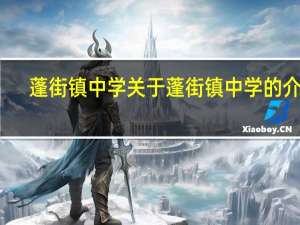 蓬街镇中学 关于蓬街镇中学的介绍