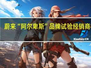 蔚来 “阿尔卑斯” 品牌试验经销商模式