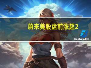 蔚来美股盘前涨超2.5%公司公布了二季度业绩