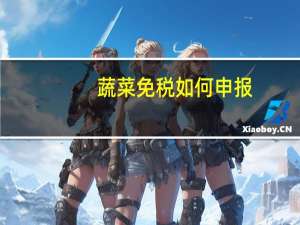 蔬菜免税如何申报