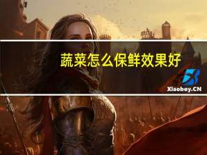 蔬菜怎么保鲜效果好