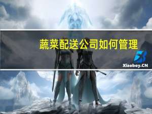 蔬菜配送公司如何管理（蔬菜配送公司管理制度）