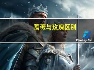 蔷薇与玫瑰区别