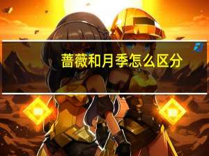 蔷薇和月季怎么区分