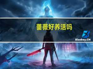蔷薇好养活吗