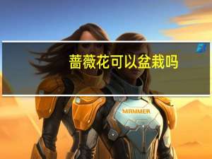 蔷薇花可以盆栽吗