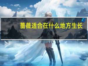 蔷薇适合在什么地方生长