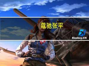 蔻驰张平