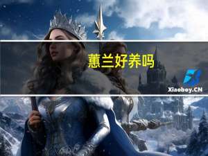 蕙兰好养吗