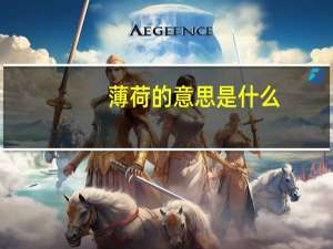 薄荷的意思是什么