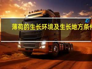 薄荷的生长环境及生长地方条件