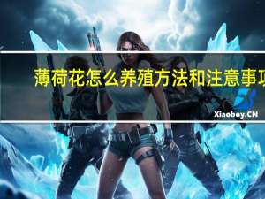 薄荷花怎么养殖方法和注意事项