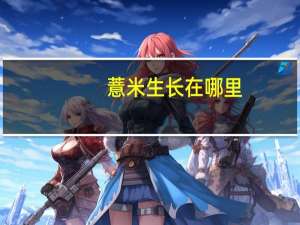 薏米生长在哪里