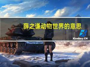 薛之谦动物世界的意思
