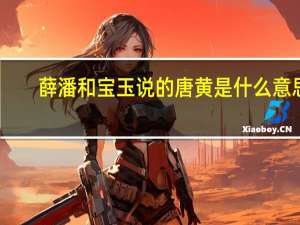 薛潘和宝玉说的唐黄是什么意思