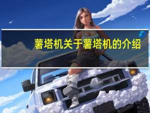 薯塔机 关于薯塔机的介绍