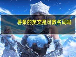 薯条的英文是可数名词吗