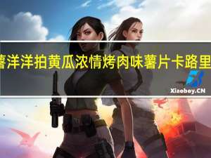 薯洋洋 拍黄瓜浓情烤肉味薯片卡路里是多少