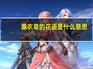 薰衣草的花语是什么意思（熏衣草的花语是什么）