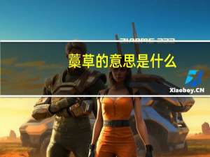 藁草的意思是什么