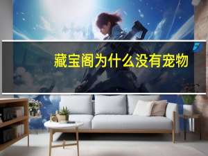 藏宝阁为什么没有宠物