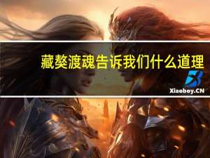 藏獒渡魂告诉我们什么道理（藏獒渡魂）