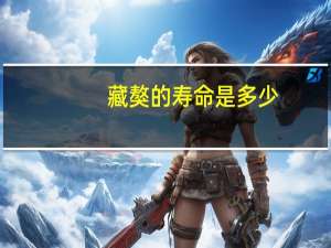 藏獒的寿命是多少