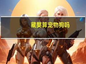 藏獒算宠物狗吗