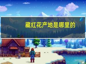 藏红花产地是哪里的（藏红花产地在哪里）