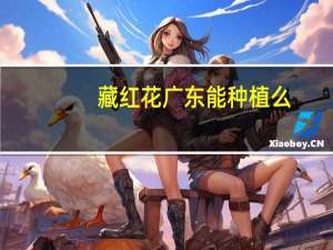 藏红花广东能种植么