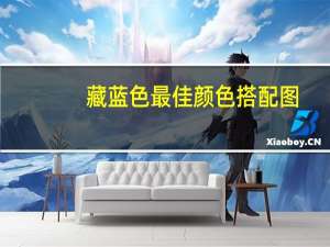 藏蓝色最佳颜色搭配图（藏蓝色cmyk）