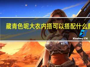 藏青色呢大衣内搭可以搭配什么颜色。