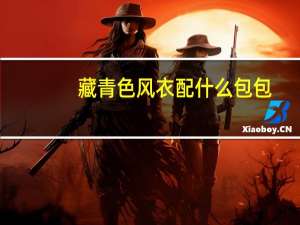 藏青色风衣配什么包包