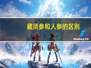 藏须参和人参的区别（藏须参）