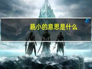 藐小的意思是什么