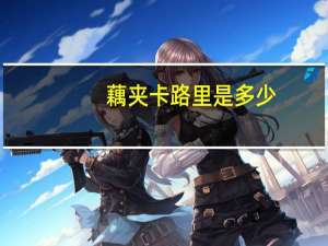 藕夹卡路里是多少