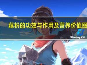 藕粉的功效与作用及营养价值图文（藕粉的功效与副作用）
